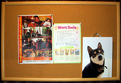 ���TACT 2007.08.25